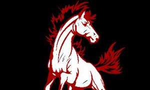 Frontier Mustangs