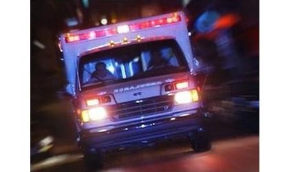 Child In Hospital After Being Attacked By Dog, Investigators Say