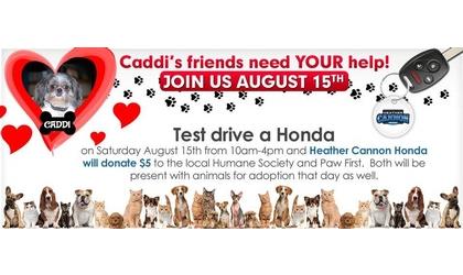 Test drives to benefit animals