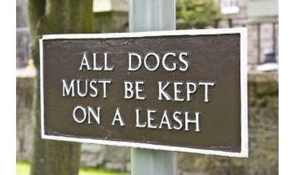 Ponca City leash law is very clear
