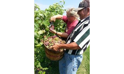 Discover Oklahoma to feature Silvertop Farm and Vineyards