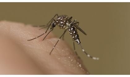 State records third West Nile death this year