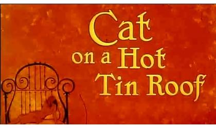 Cat on a Hot Tin Roof Continues Friday