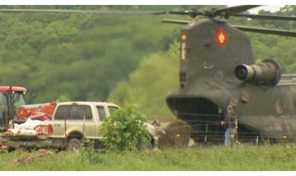 National Guard helps stranded cattle