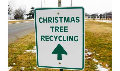 Recycle those Christmas trees