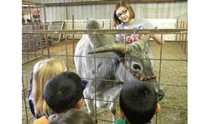 Lincoln kindergarten students enjoy petting zoo