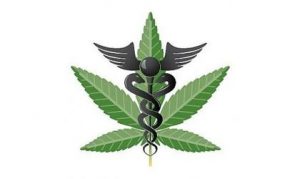 Okla. medical marijuana backers seek public vote