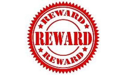 Reward offered in Clinton double murder