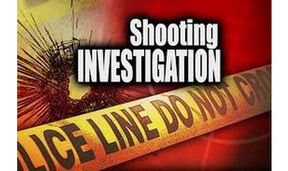 Up to 12 gunshots last night, PCPD seeks information