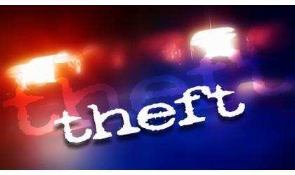 Woman sentenced in family theft