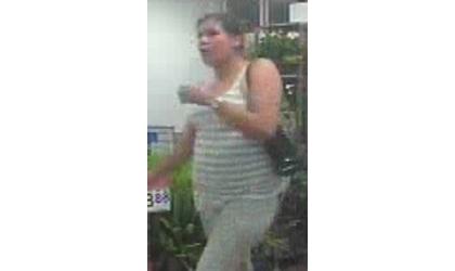 Suspects sought in thefts
