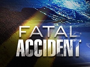 Pedestrian struck, killed while crossing Interstate 35