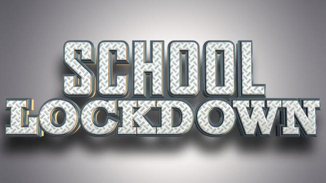 Schools on precautionary lockdown