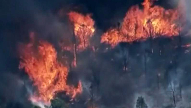 4 governors seek grazing assistance because of wildfires