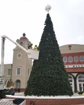 Park and Recreation crew puts up City Hall Christmas tree