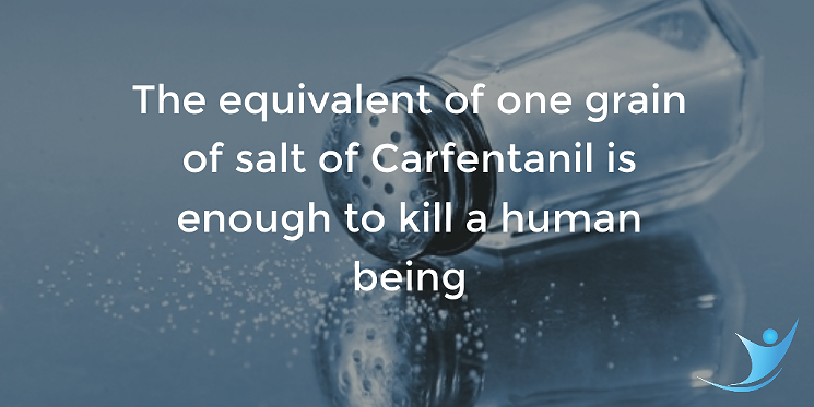 Fentanyl and Carfentanil – A Lethal Threat to Our Community