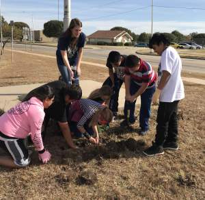 Lincoln students plant red tulip bulbs