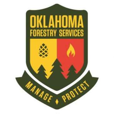 Forestry Service reports damages from wildfires