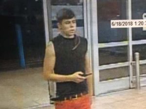 Police seeking subject in theft of big-screen television