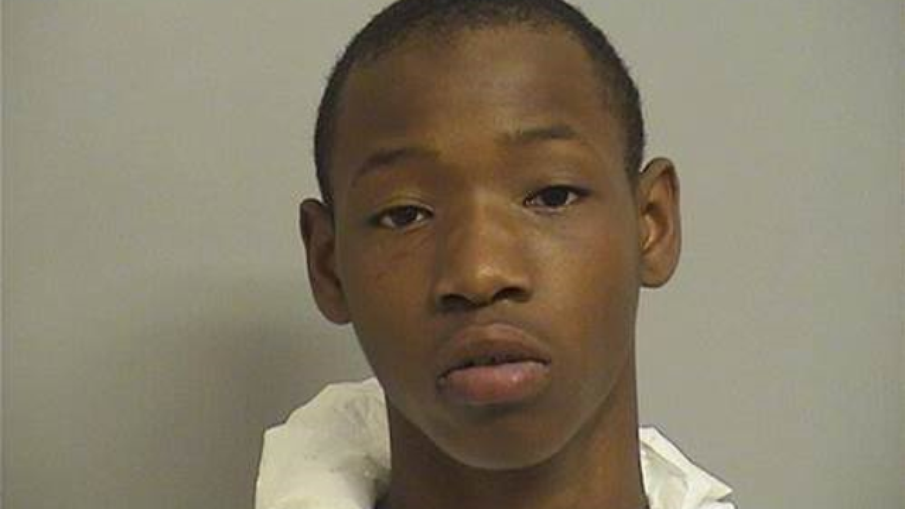Teen pleads guilty to murder, 19 other counts in blind plea