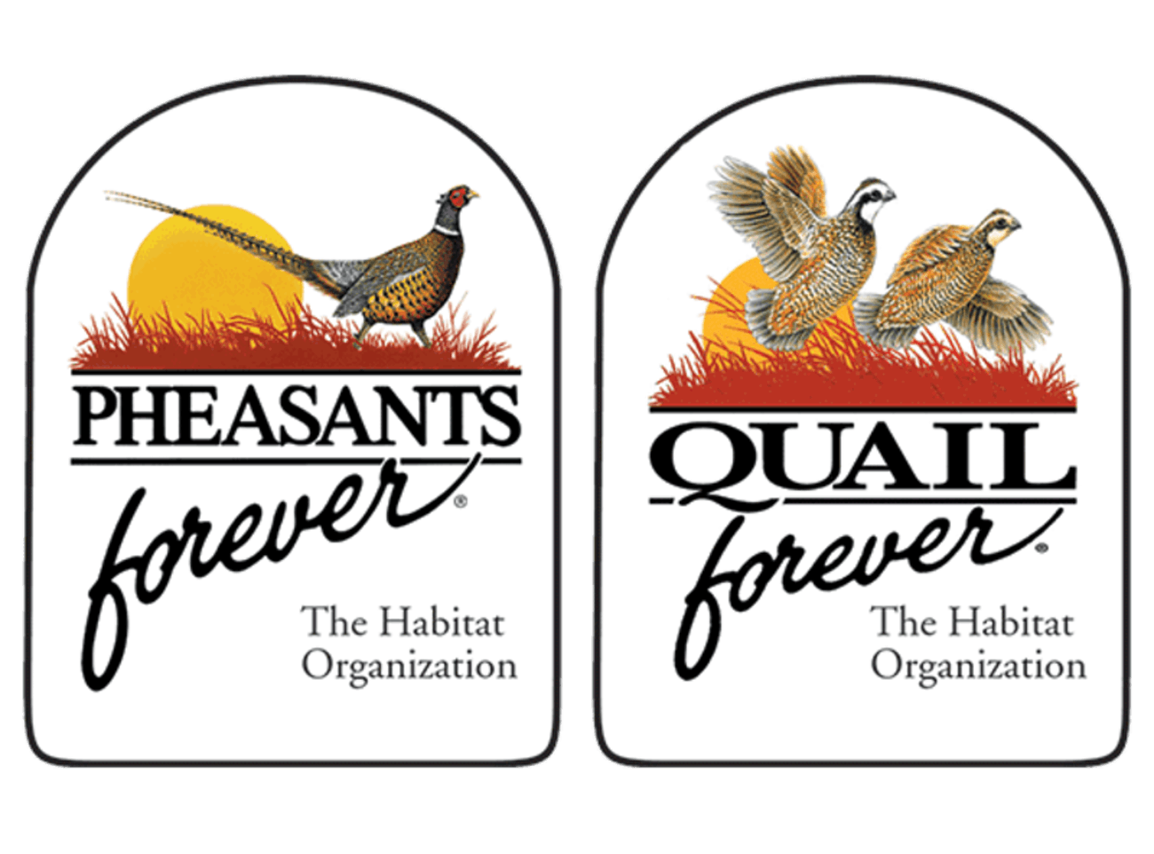 Pheasants Forever annual banquet set for March 2