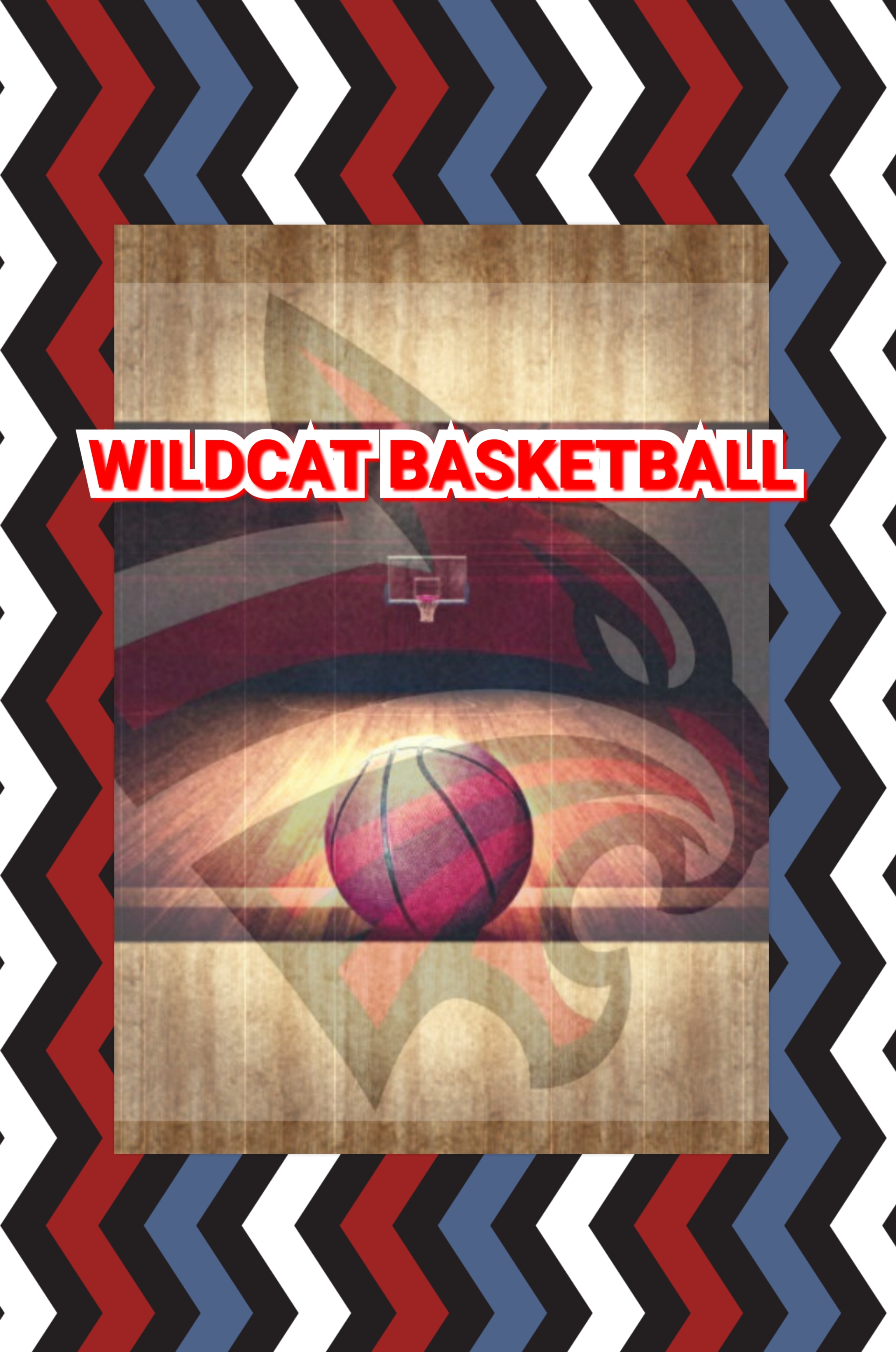 Ladycats Basketball Expect Exciting Season