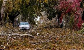 Tonkawa Ice Storm Tree Debris Removal has begun