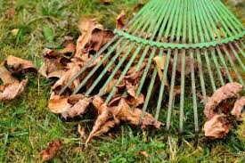 Autumn Leaf Collection Begins November 15th in Ponca City