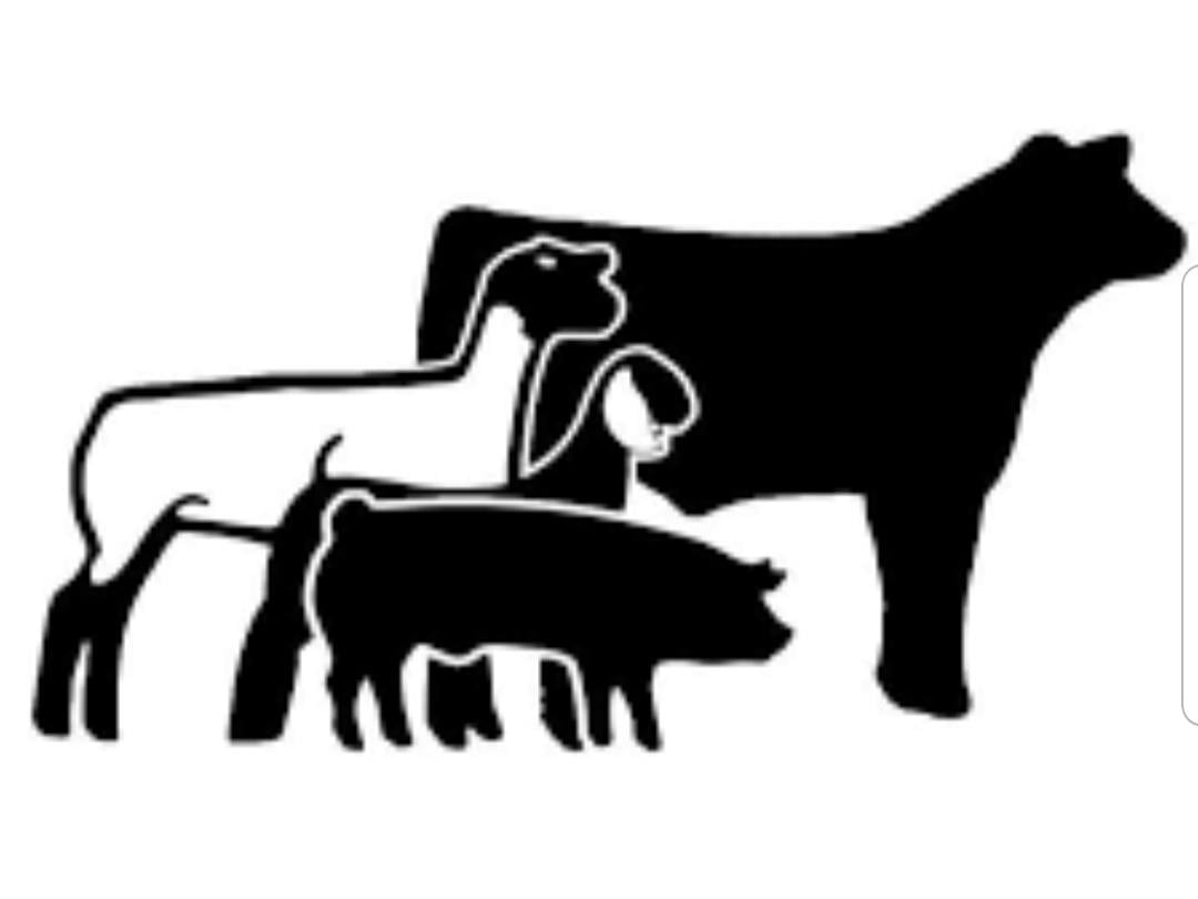 Kay County Jr. Livestock Show moved to Feb. 22-26