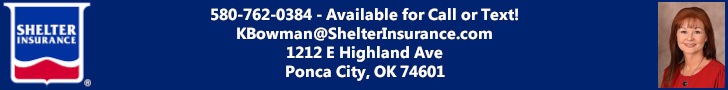 728×90 Kerri Bowman Shelter Insurance