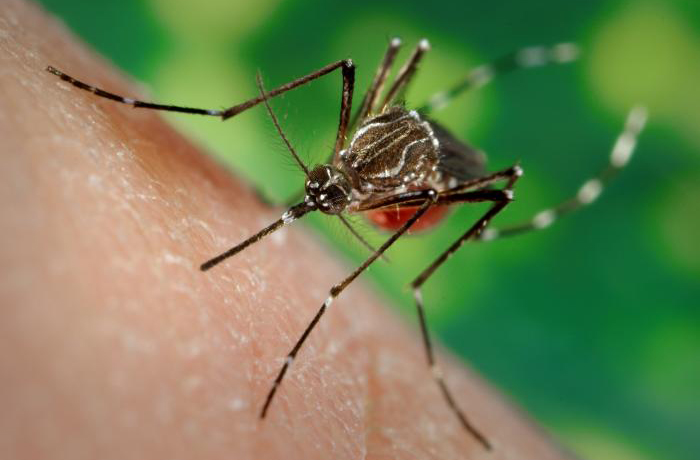 Oklahoma Health Officials Report First Human Cases of West Nile Virus in the State for 2023