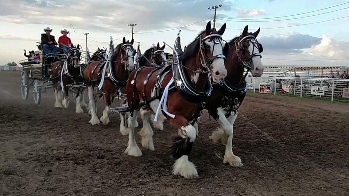 Santa and The Clydesdales at Arbuckle Mtn Fried Pies Saturday