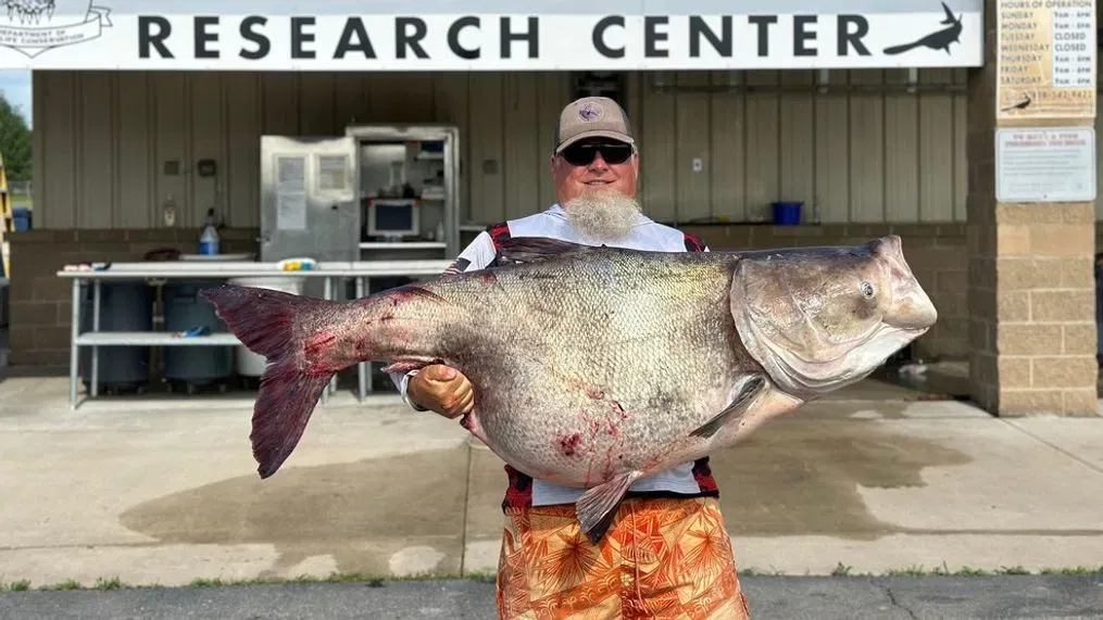 Man Reels in Oklahoma State Record 118 Pound Bighead Carp From Grand Lake