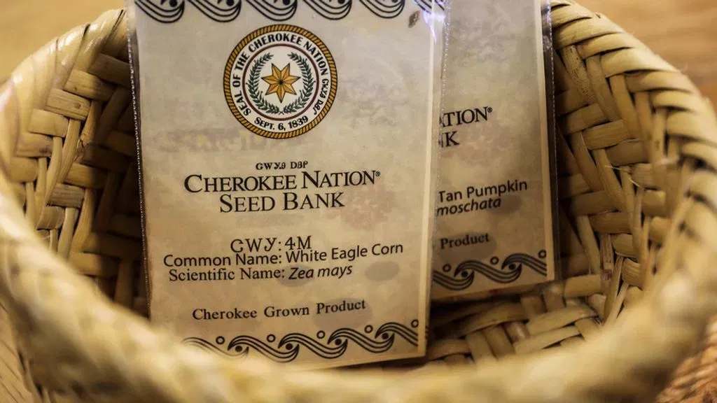Cherokee Nation Opens Applications for Heirloom Seeds; Flowers, Gourds and Corn Available