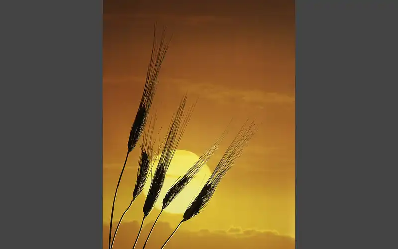 Summer solstice June 21 marks official start of summer