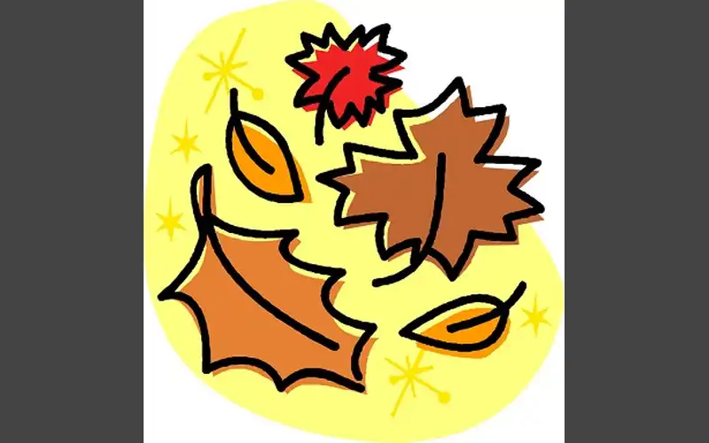 Ponca City Autumn Leaf Collection 2025-2026