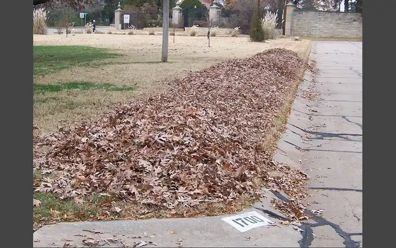 Autumn Leaf Collection begins this month in Ponca City