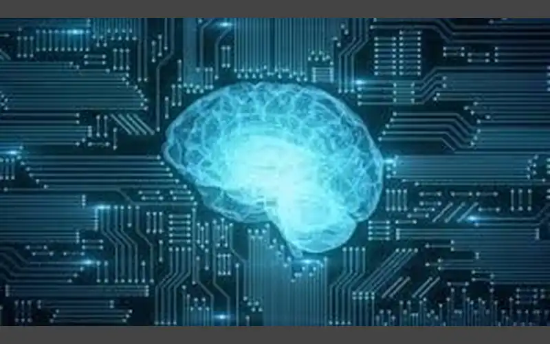 Maynard Files Trio of AI Safeguards