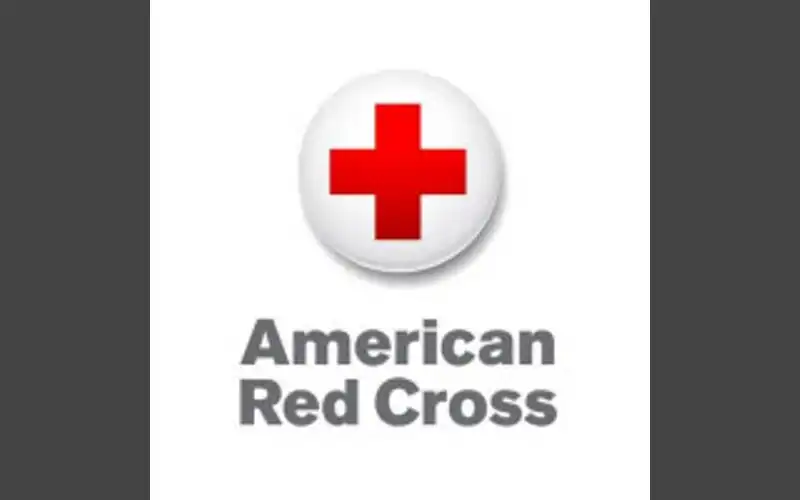 Winter Storm Safety: Red Cross tips for homes, travel and pets