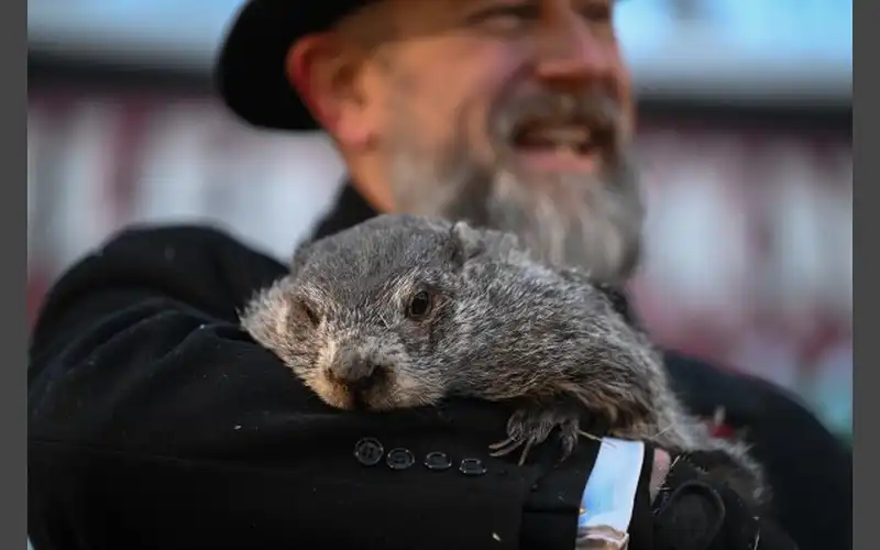 Punxsutawney Phil predicts 6 more weeks of winter