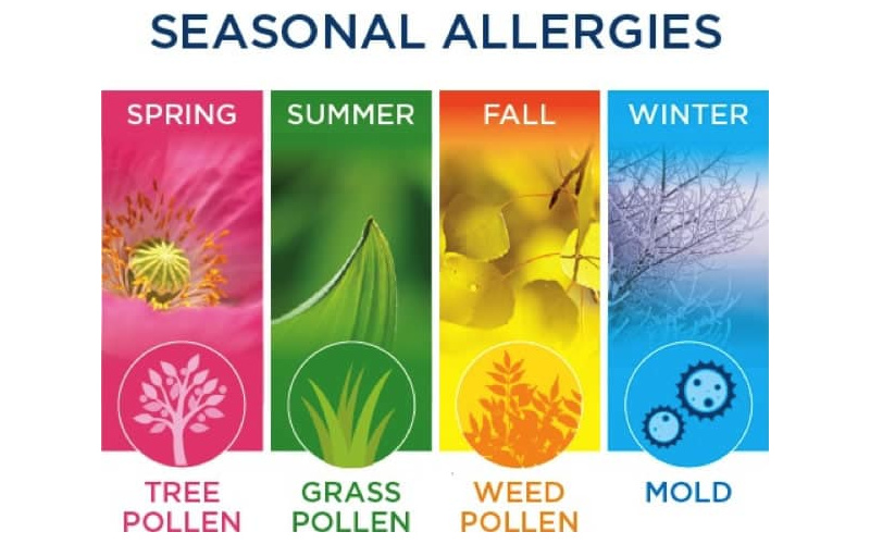 Welcome to allergy season. Here’s how to protect yourself.