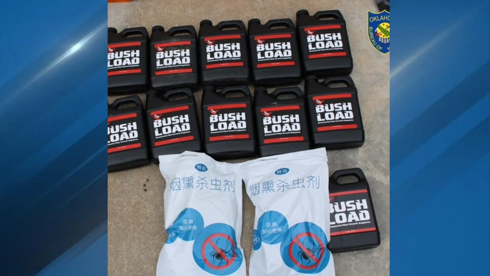 OBN agents seize 9,000 marijuana plants, discover illegal pesticides